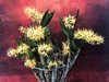 Дендробиум (Dendrobium Hilda Poxon) (3)